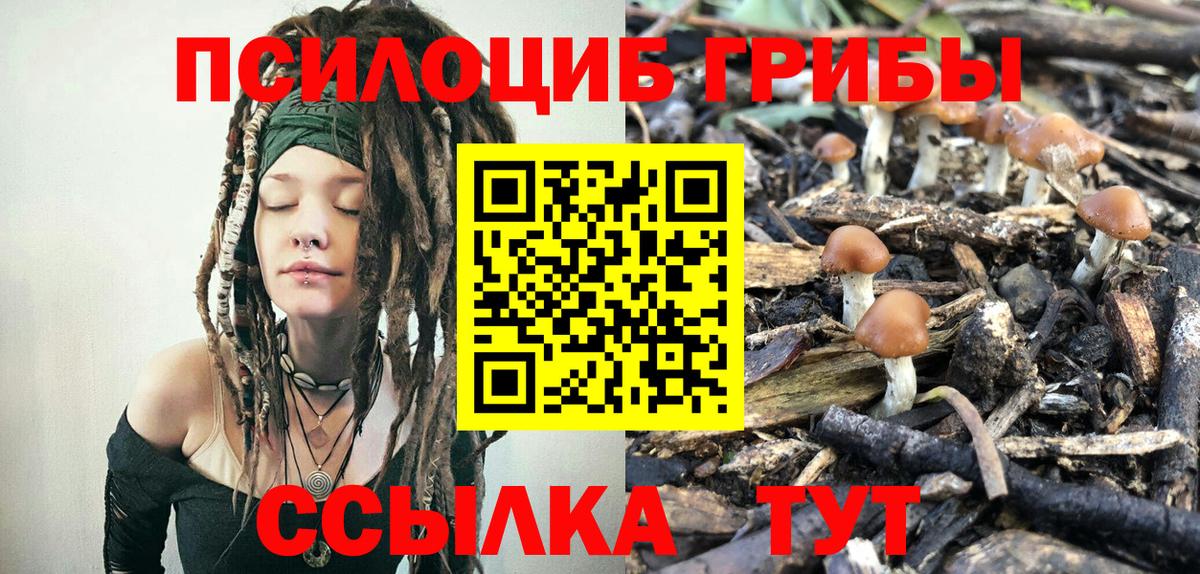 Югорск  Псилоцибиновые грибы Psilocybe  Вход с VPN 